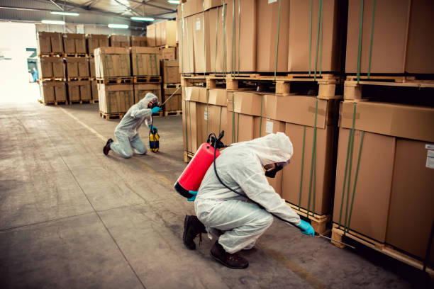 Best Pest Inspection Near Me  in Archie, MO