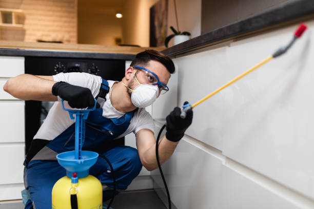 Best Flea Control Services  in Archie, MO