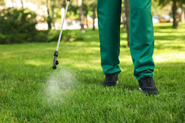 Best Pest Inspection Near Me  in Archie, MO