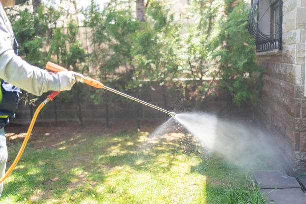 Best Local Pest Control Services  in Archie, MO