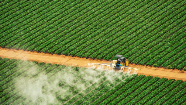 Best Best Pest Control Companies  in Archie, MO