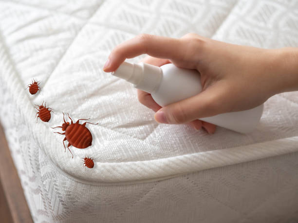 Best Residential Pest Control  in Archie, MO