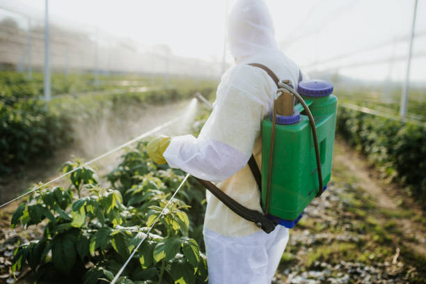 Best Local Pest Control Services  in Archie, MO